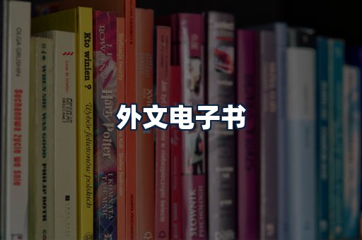 外文电子书
